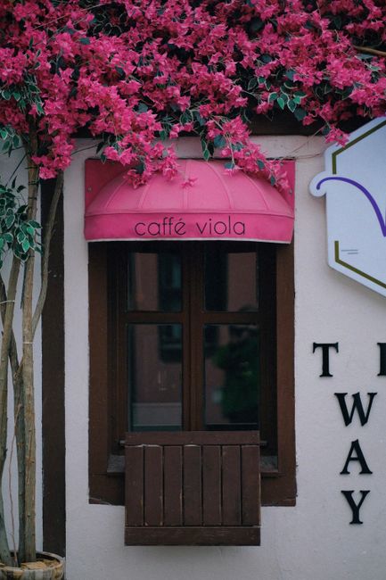 The image showcases the exterior of a charming building with a small, dark wooden window beneath a pink fabric awning that bears the name 'caffé viola'. The window is framed by white walls and is fla